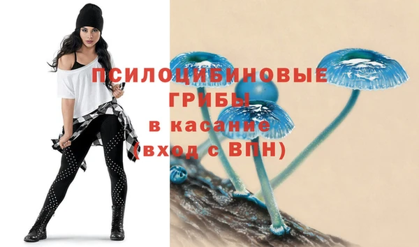 ешки Снежинск