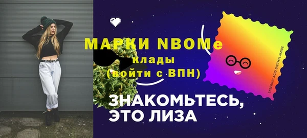индика Снежногорск