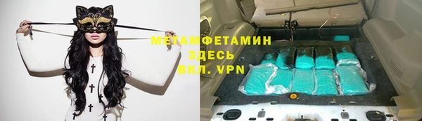 индика Снежногорск