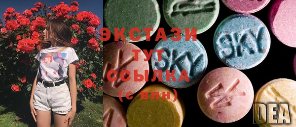 индика Снежногорск