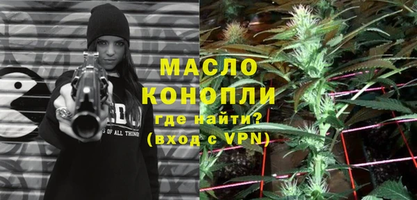 индика Снежногорск