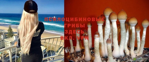 Альфа ПВП Слюдянка
