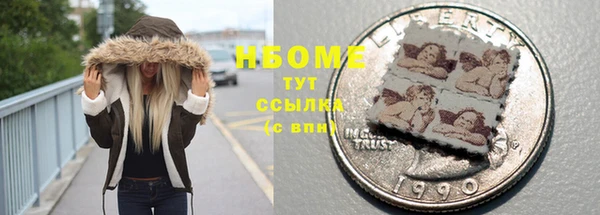 индика Снежногорск