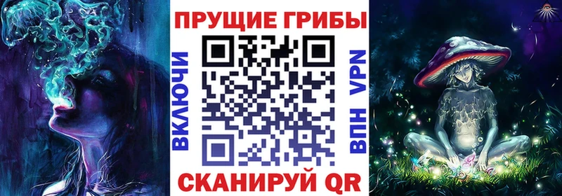 Галлюциногенные грибы Psilocybe  Барнаул 